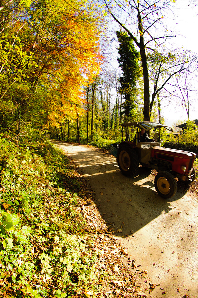 2010_10_08_Muehlau_104