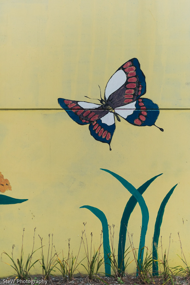Butterfly painting with gras