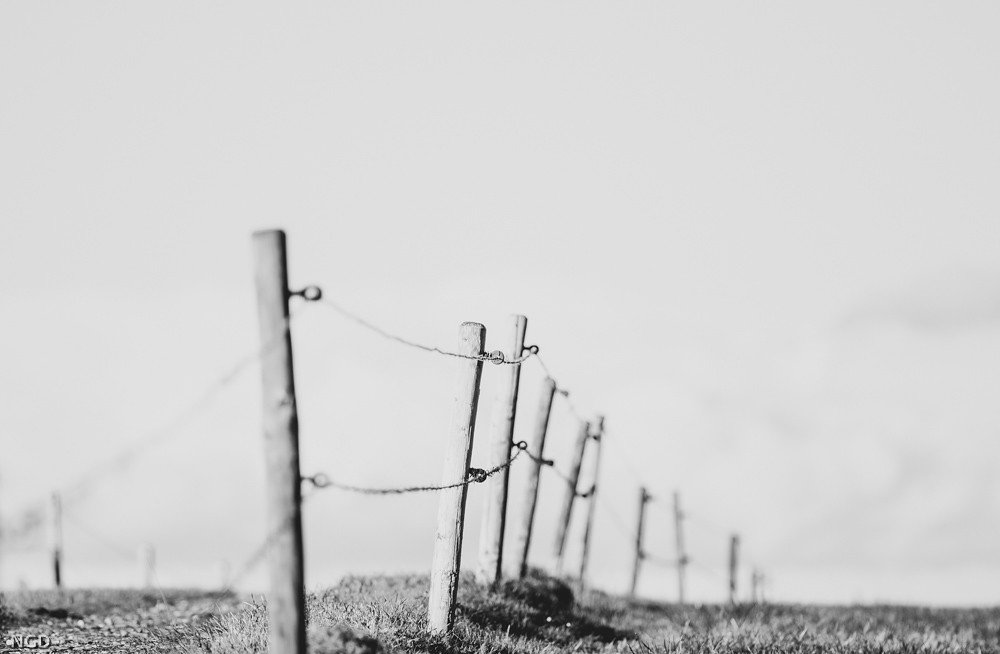 Featured image for “Fence”